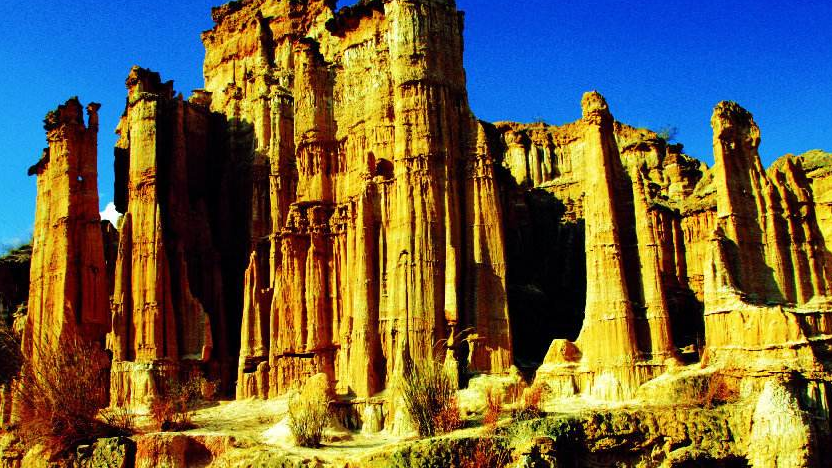 Wumao Earth Forest Scenic Area_Baiduwiki