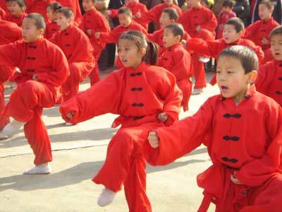 形意拳（中国伝統武術）_百度百科