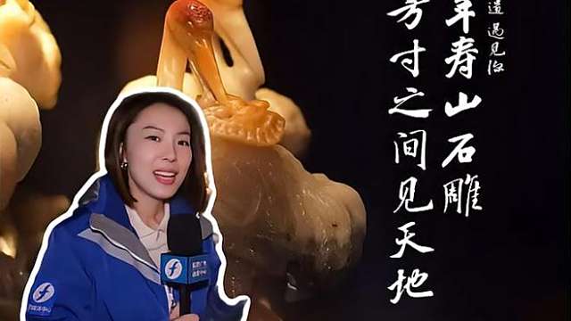寿山石彫刻 大型本　中国語 寿山石彫刻_百度百科