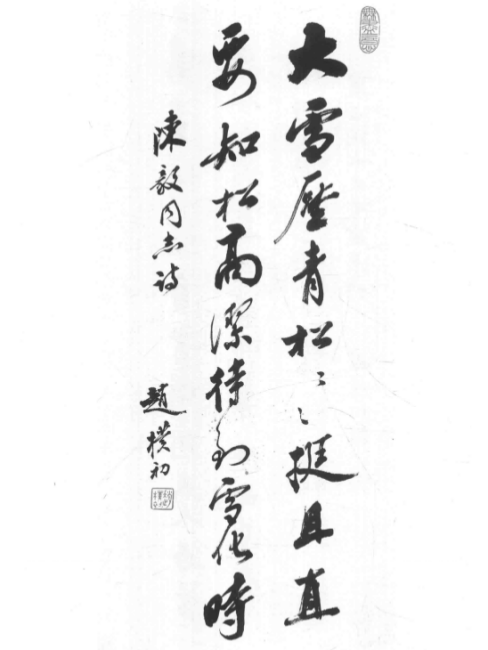 青松_百度百科
