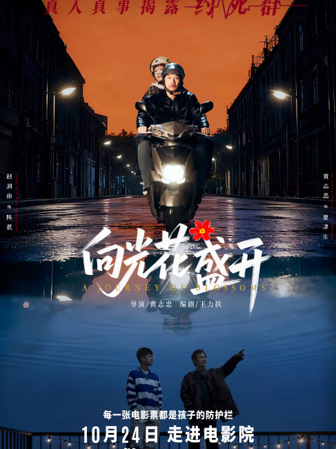 光に向かって花が咲く_百度百科