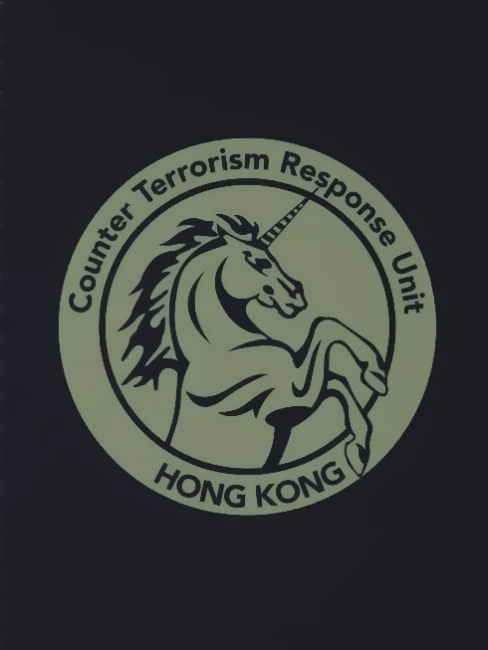 香港対テロ対応部隊_百度百科