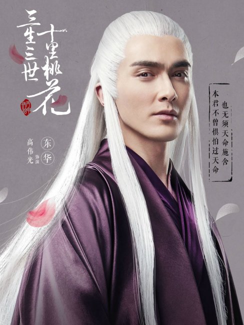 東華（中国の小説『三生三世十里桃花』の登場人物）_百度百科