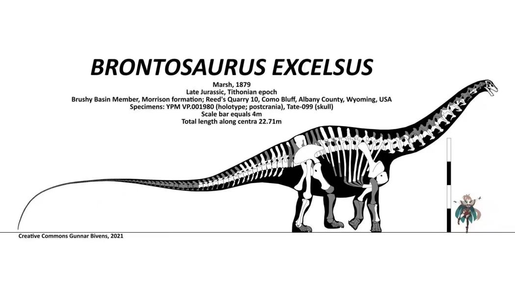 Brontosaurio_Baidu Enciclopedia