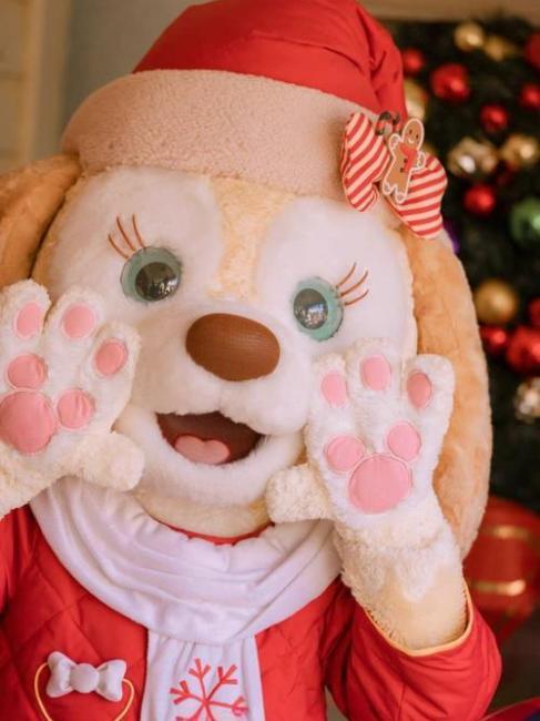 CookieAnn（An original doll character created by The Walt Disney Company ...