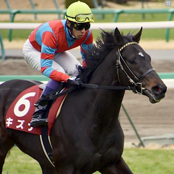 Deep Impact（A Japanese Thoroughbred racehorse born in 2002