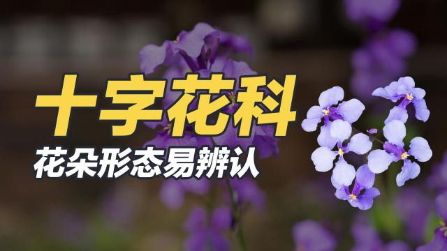 菜々花ページ 投稿詳細｜MOTOCLE
