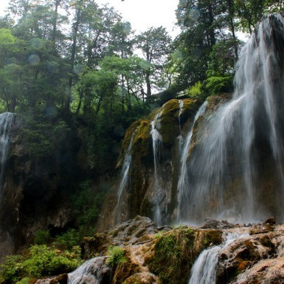 Panda Sea Falls（A waterfall in Jiuzhaigou Valley, Sichuan