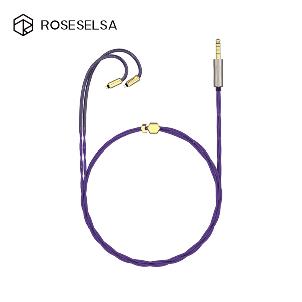 RoseSelsa（中国のプロフェッショナルデジタルオーディオ製品ブランド
