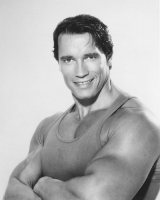 Arnold Schwarzenegger（American actor, bodybuilder, American Republican ...
