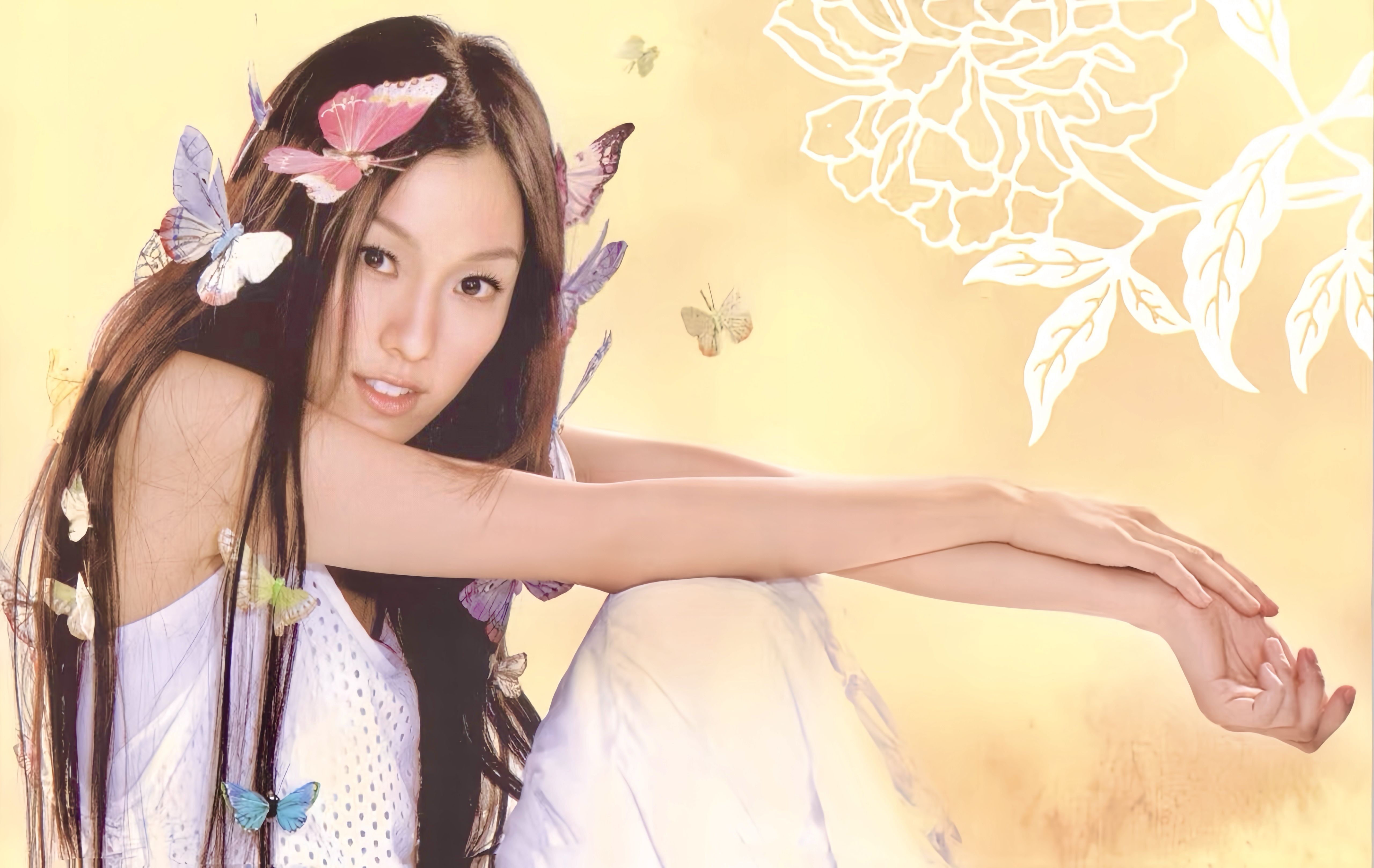 Fan Fan（中国籍の華語ポップスの女性歌手、女優、司会者。）_百度百科