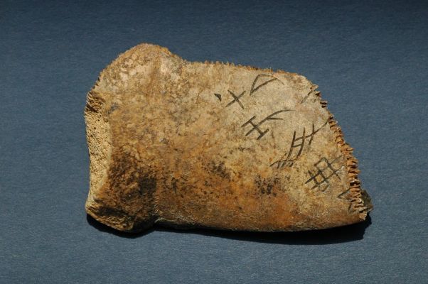 Oracle Bone Inscriptions_Baiduwiki