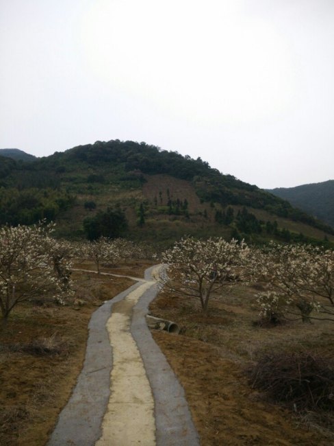 Fengyun Ridge_Baiduwiki