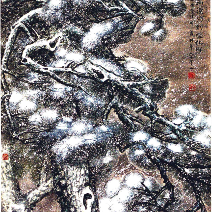 青松_百度百科