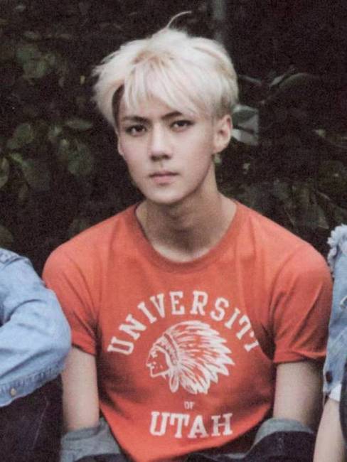Oh Se-hun（South Korean male singer and member of the boy band EXO ...