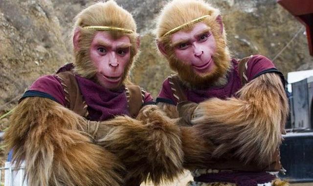 six-eared-macaque-baiduwiki