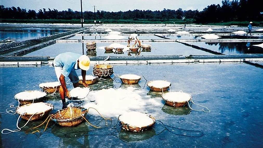 Solar Salt Production Technique and Brine-based Salt Making Technique ...
