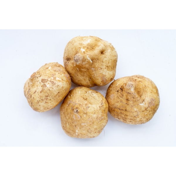 Semi Di Jicama (Pachyrhizus Erosus) Circa 10 Semi, Magic Garden Seeds