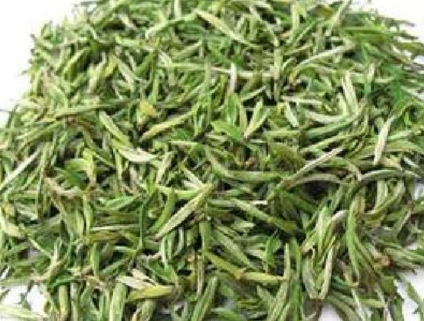 Pu-erh Tea（A tree of the tea section within the Theaceae family.）_Baiduwiki