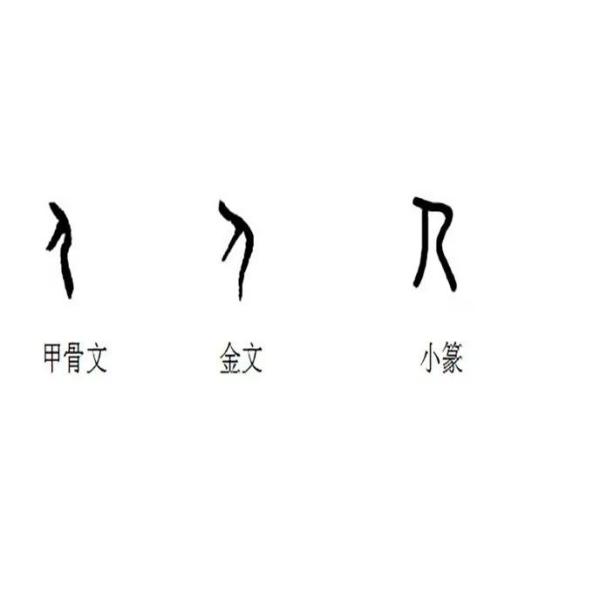 金文編 容庚?著 中華書局 1985年7月第1版 甲骨文