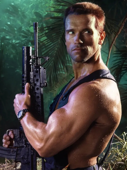 Predator（A 1987 American science fiction action film starring Arnold ...