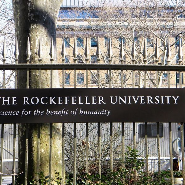 The Rockefeller University_Baiduwiki