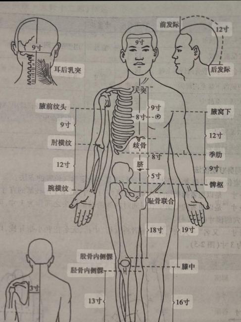 経穴（医学用語）_百度百科