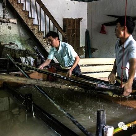 中国手漉竹紙製造技術 四会竹紙】（Sihui Bamboo Paper）Chinese traditional handmade paper