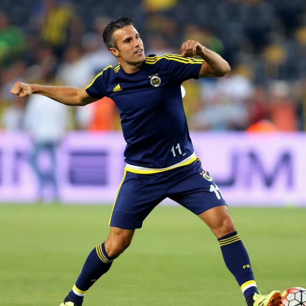 Robin van Persie（オランダのサッカー指導者）_百度百科