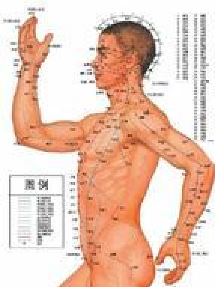 経穴（医学用語）_百度百科