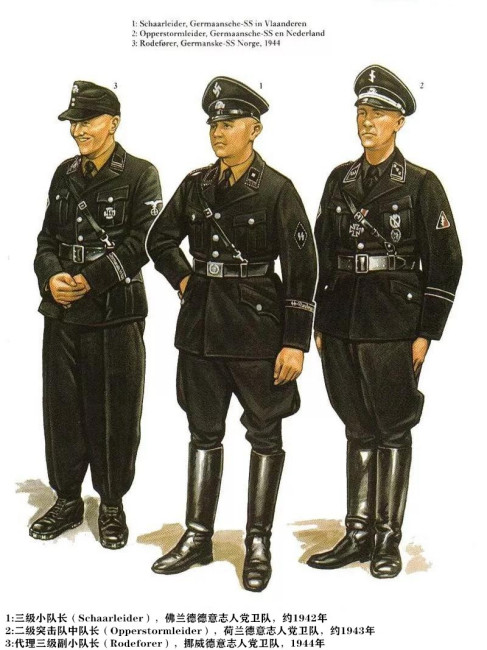 schutzstaffel-organizaci-n-de-inteligencia-y-militar-del-partido-nazi