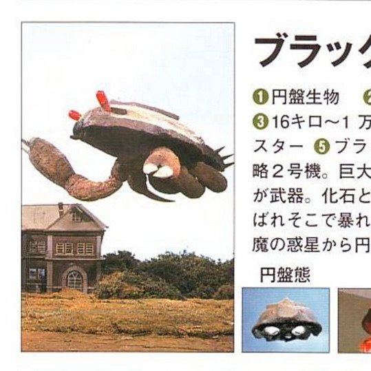 円盤生物_百度百科