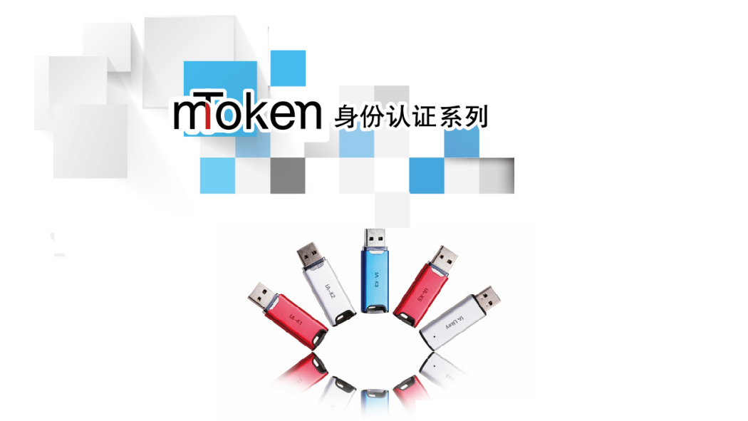 mToken（An identity authentication product based on a public key system ...
