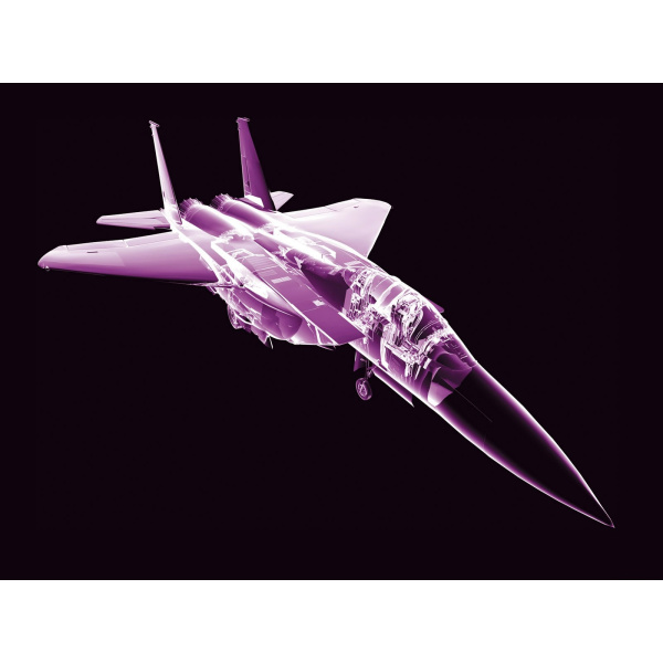 F-15 戦闘機_百度百科