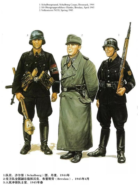 Schutzstaffel（The intelligence, security, and military organization of ...