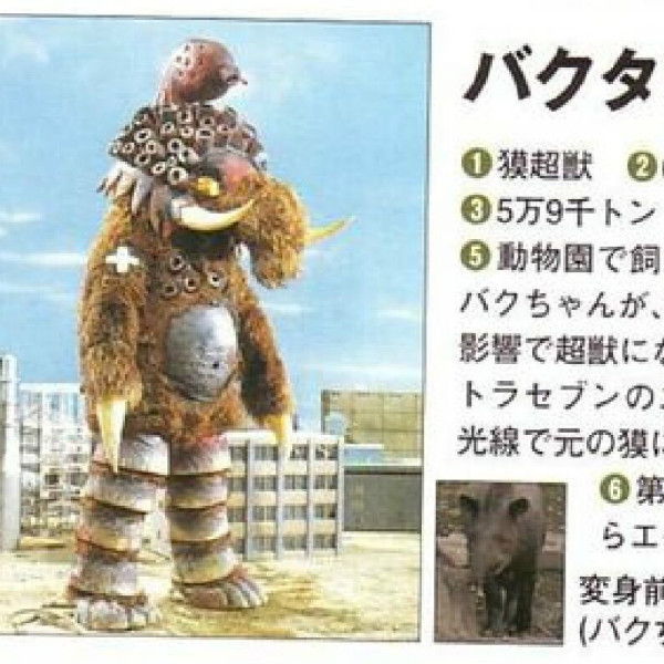 バクタリ_百度百科