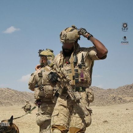 United States Naval Special Warfare Development Group（アメリカ軍