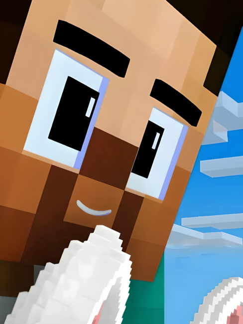 Steve（One of the player-selectable skins in the sandbox video game ...