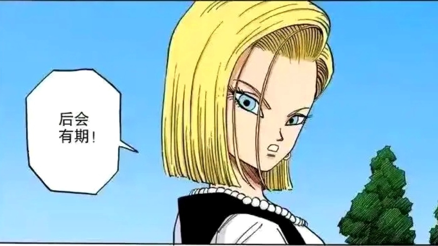Android 18（A character from the Japanese manga *Dragon Ball* and its ...