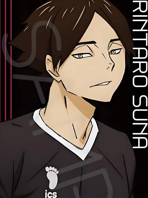 Rintaro Suna（Un personaje del manga japonés Haikyuu!! y sus ...