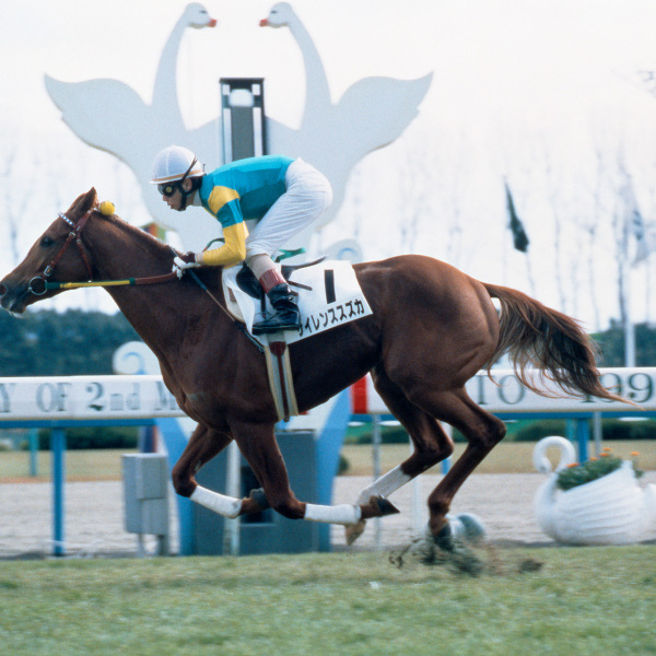 サイレンススズカ（1994年生まれの日本の競走馬）_百度百科