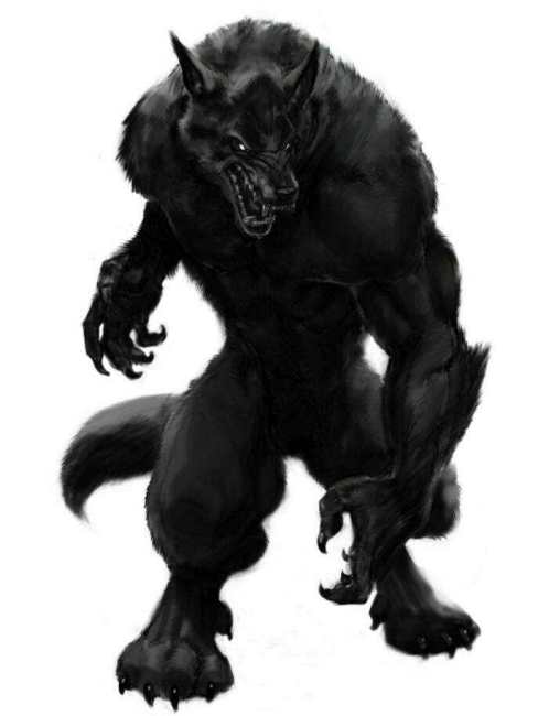 Werewolf（A peculiar legendary creature from Western folklore.）_Baiduwiki
