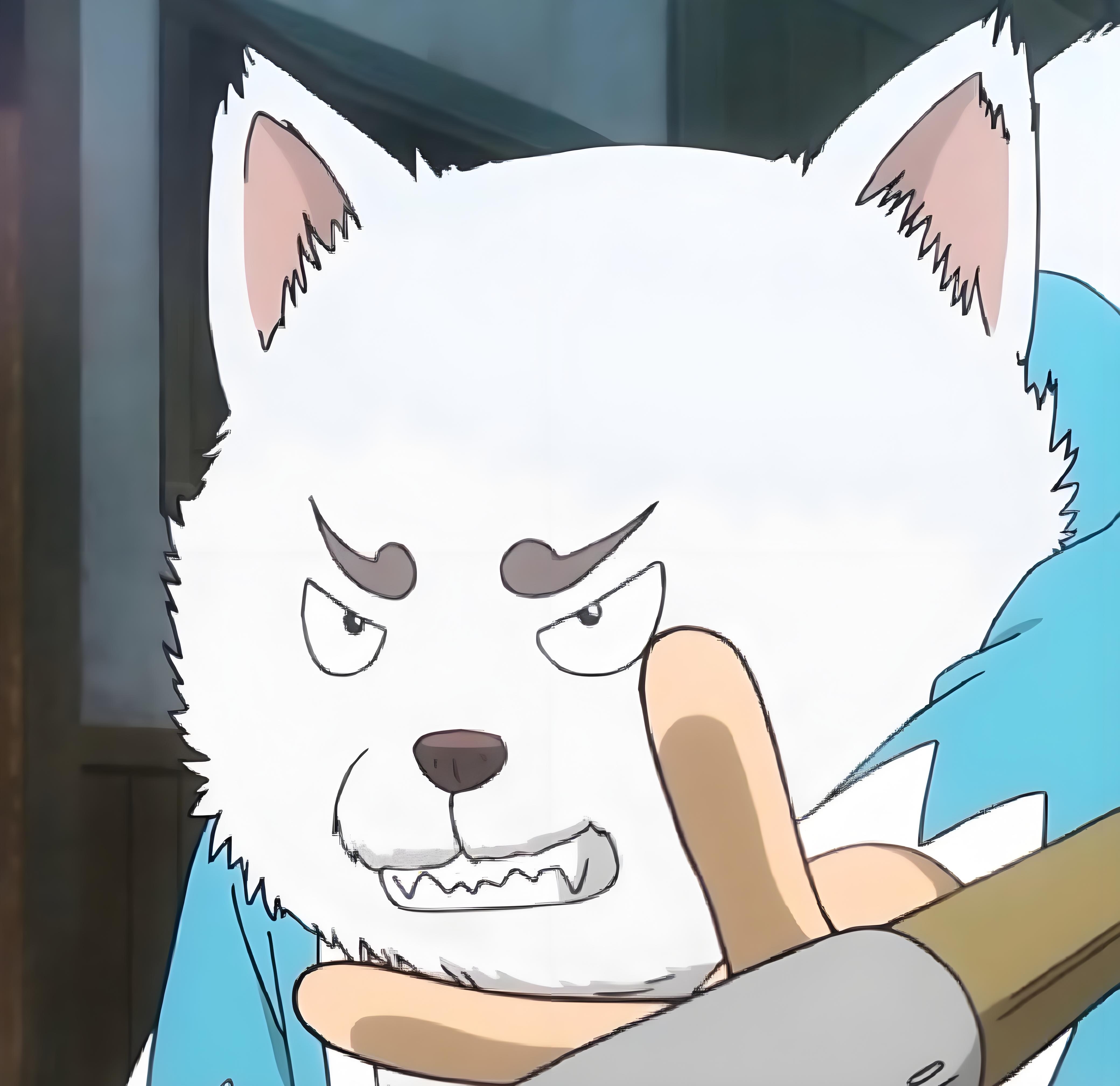 銀魂 犬 の 名前