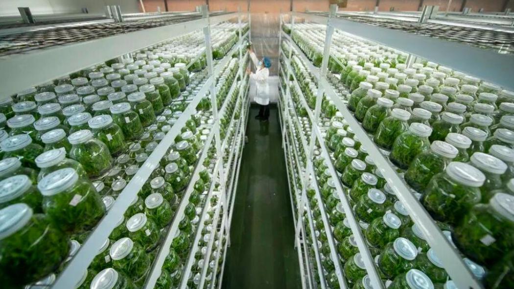 agricultural factory_Baiduwiki